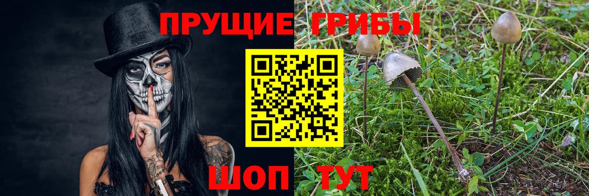 Псилоцибиновые грибы Psilocybe  Галлюциногенные грибы Cubensis  Вход с VPN  Сергиев Посад 