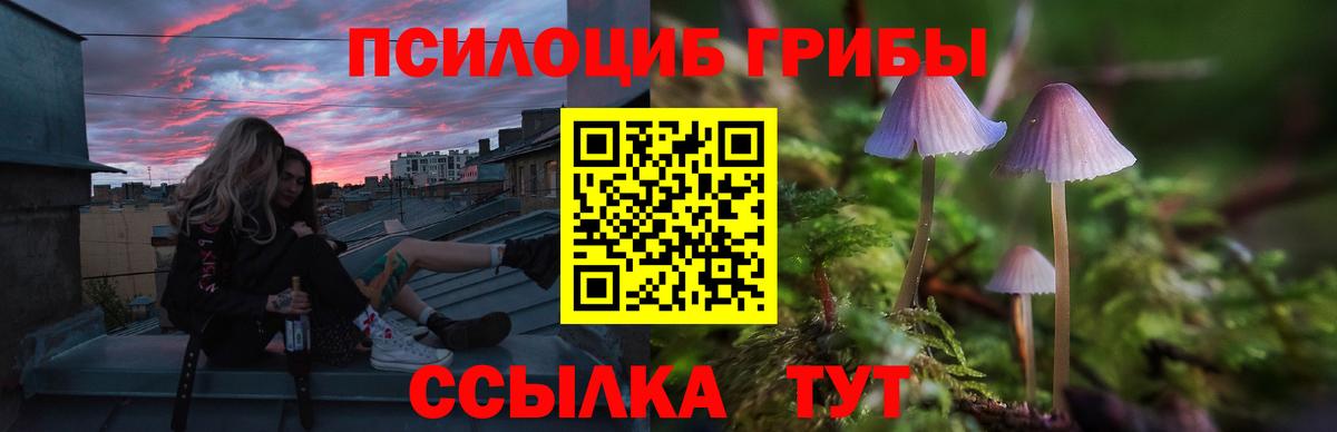 Псилоцибиновые грибы ЛСД Сергиев Посад